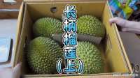去榴莲批发市场，花400买了一箱长柄榴莲，体验榴莲盲盒