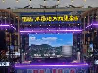 跑路，欠下4亿货款，被资本热捧的“女版刘强东”，怎么彻底凉了