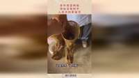 意外惊喜降临，神秘宝物到手，人生方向要重写！