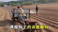 那些满级狗子的高能瞬间