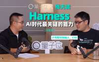 对谈楼天城：Harness会成为AI时代最关键的能力之一