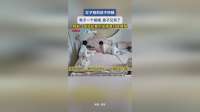 女子刚把孩子哄睡 男子一个喷嚏 孩子又哭了 网友：我现在都不发声音打喷嚏啦 *