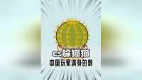 躲猫猫大挑战之中国玩家满身的刺