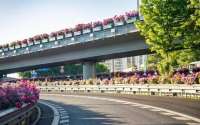 全网刷屏的北京月季环路，原来有这些“黑科技”！