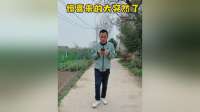 到脚边的财气就这么飞走了