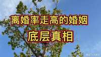 离婚率暴涨！婚姻崩塌的底层真相，90%夫妻都没看透