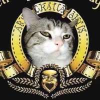 疯猫影视