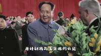 法兰西最后的脊梁——不屈战士