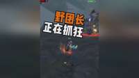 魔兽周年服野团长崩溃：无人听指挥，团队乱成一团