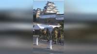 日本陆上自卫队客串清洁工，攀高清理50米姬路古城堡