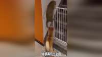 一会儿回来肯定得骂我