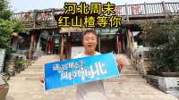 河北承德金山岭红山楂农家院 近邻长城食宿淳朴度假超惬意-民宿汇