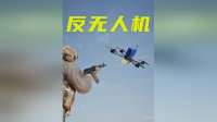 3D动画揭秘：士兵如何反制FPV神风无人机？