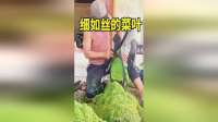 菜叶切丝有妙招，手工更精细！