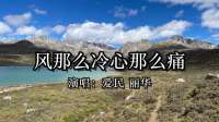 这首《空落落的心为你醉》音乐视频非常棒！歌词深奥，入情、入心