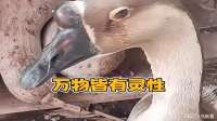 万物皆有灵，每个生命都值得被温柔善待
