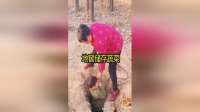 地窖储存蔬菜，新鲜无比！