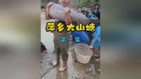 花12万块钱包下30亩大山塘，没想到爆网了青鱼也很大