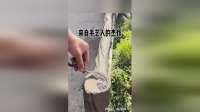 来自手艺人的杰作