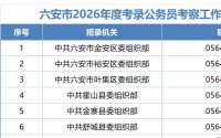 考察人选公布