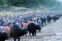 司令员火牛阵奇袭，鬼子丢盔弃甲！解气！影视