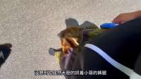 “绿植映衬小路静谧，阳光美景尽收眼底”