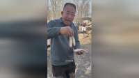 山东大集特色美食小吃