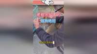 祖传绝招！教你如何挑出好狗狗