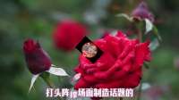 李佳直播流量密码：揭秘娘俩背后的秘密