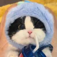 软糖影视君