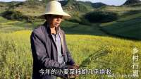 甘肃天水油菜籽接近绝收，开的花是“死花”，听听农民