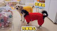 狗狗卖废品，外婆累够呛