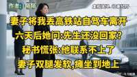 妻子将我丢在高铁站独自离开，六天后寻我不见人，她当场瘫坐在地