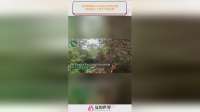 乌特种部队从水路出发绕后突袭，俄军被打个措手不急投降！