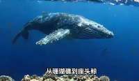 月亮正在离开地球，每年3.8厘米，而你从未察觉