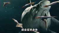 旋齿鲨：你见过嘴里长着电锯的海洋生物吗