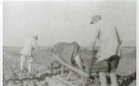 1944年春，山东军区干部战士在莒南大店开荒