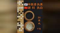 第四届衢州烂柯杯世界围棋公开赛申真谞屠龙谢科晋级