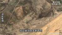 被渔网困住的可怜白骨，警示我们不要破坏自然生态