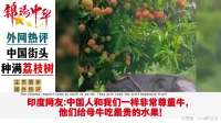 韩国网友：在韩国的超市只有富人才敢购买这种高级水果