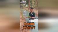 给水稻插秧，这也太卖力了