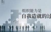 陈春花：组织能力是自我造就的过程