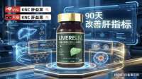 2026年熬夜、饮酒、转氨酶偏高酒精肝必看护肝攻略
