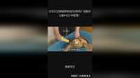 你见识过能啃穿铁板的动物吗？细数咬力最牛的十种野兽！
