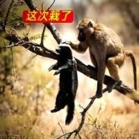 动物趣谈1