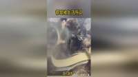 慢一点，生活的节奏都跟不上