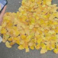 何蕥室内设计