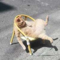 兰妮搞笑分享