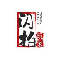 闪拍玩家