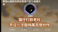 猫仔打脸老杜，开过一次庭纯属忽悠炒作